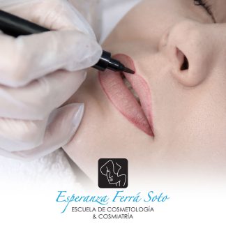 Taller de micropigmentacion