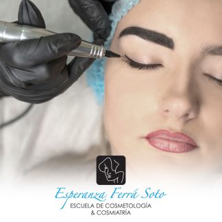 Taller de micropigmentacion